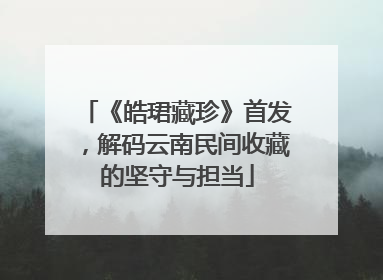 《皓珺藏珍》首发，解码云南民间收藏的坚守与担当