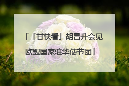 「甘快看」胡昌升会见欧盟国家驻华使节团