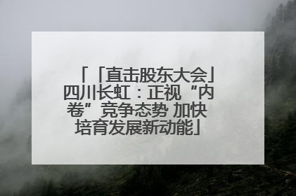 「直击股东大会」四川长虹：正视“内卷”竞争态势 加快培育发展新动能