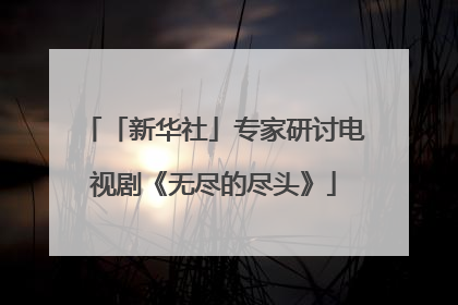 「新华社」专家研讨电视剧《无尽的尽头》