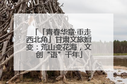 「青春华章·重走西北角」甘肃文旅嬗变：荒山变花海，文创“语”千年