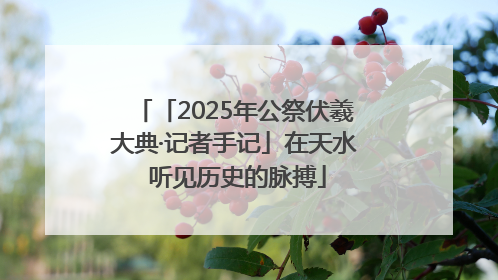 「2025年公祭伏羲大典·记者手记」在天水 听见历史的脉搏
