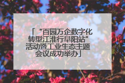 “百园万企数字化转型江淮行阜阳站”活动暨工业生态主题会议成功举办