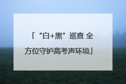 “白+黑”巡查 全方位守护高考声环境