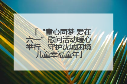“童心同梦 爱在六一”慰问活动暖心举行，守护沈城困境儿童幸福童年