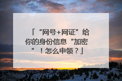 “网号+网证”给你的身份信息“加密”！怎么申领？