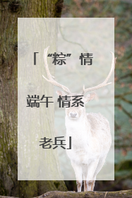 “粽”情端午 情系老兵