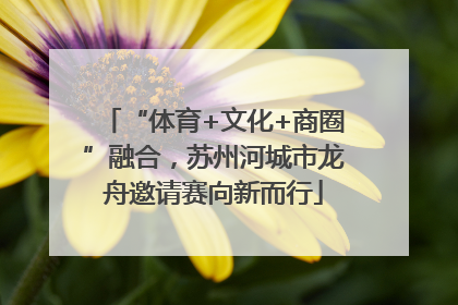 “体育+文化+商圈”融合，苏州河城市龙舟邀请赛向新而行