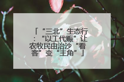“三北”生态行：“以工代赈”让农牧民由治沙“看客”变“主角”