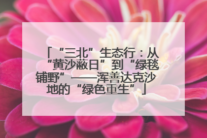 “三北”生态行：从“黄沙蔽日”到“绿毯铺野”——浑善达克沙地的“绿色重生”