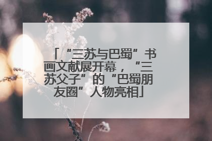 “三苏与巴蜀”书画文献展开幕，“三苏父子”的“巴蜀朋友圈”人物亮相