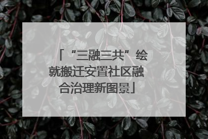 “三融三共”绘就搬迁安置社区融合治理新图景