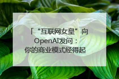 “互联网女皇”向OpenAI发问：你的商业模式经得起价格战考验么？