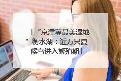 “京津冀最美湿地”衡水湖：近万只夏候鸟进入繁殖期