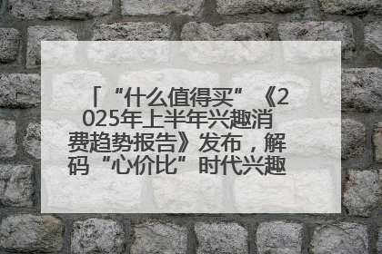 “什么值得买”《2025年上半年兴趣消费趋势报告》发布，解码“心价比”时代兴趣消费新范式