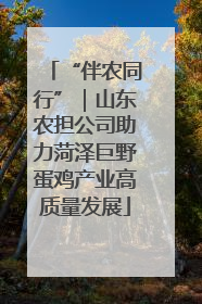 “伴农同行”｜山东农担公司助力菏泽巨野蛋鸡产业高质量发展