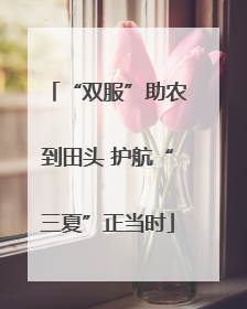 “双服”助农到田头 护航“三夏”正当时