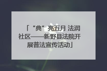 “典”亮五月 法润社区——新野县法院开展普法宣传活动