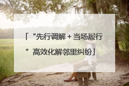 “先行调解＋当场履行”高效化解邻里纠纷