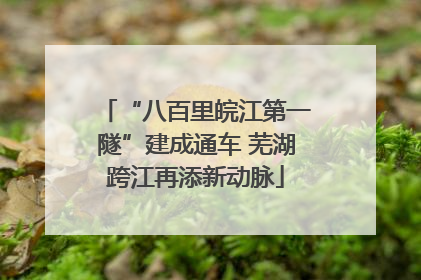 “八百里皖江第一隧”建成通车 芜湖跨江再添新动脉