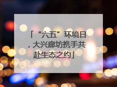 “六五”环境日，大兴廊坊携手共赴生态之约