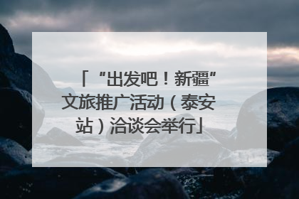 “出发吧！新疆”文旅推广活动（泰安站）洽谈会举行