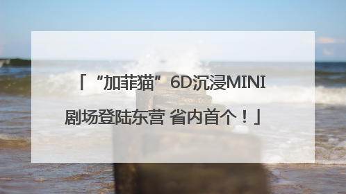 “加菲猫”6D沉浸MINI剧场登陆东营 省内首个！