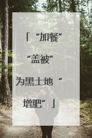 “加餐”“盖被” 为黑土地“增肥”