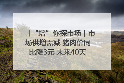 “培”你探市场｜市场供增需减 猪肉价同比降3元 未来40天便宜猪肉敞开吃