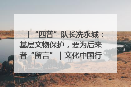“四普”队长冼永城：基层文物保护，要为后来者“留言”｜文化中国行·我在广东找文物