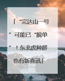 “完达山一号”可能已“脱单”！东北虎种群也有新喜讯