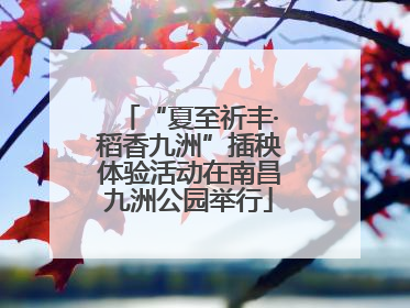 “夏至祈丰·稻香九洲”插秧体验活动在南昌九洲公园举行
