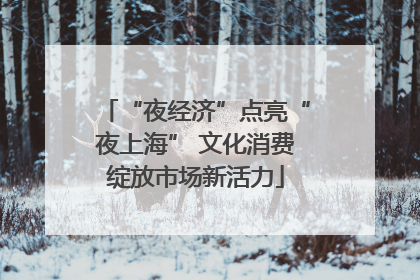 “夜经济”点亮“夜上海” 文化消费绽放市场新活力