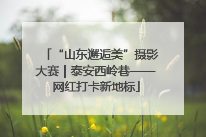 “山东邂逅美”摄影大赛｜泰安西岭巷——网红打卡新地标