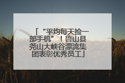 “平均每天捡一部手机”！鲁山县尧山大峡谷漂流集团表彰优秀员工