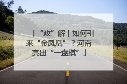 “政”解丨如何引来“金凤凰”？河南亮出“一盘棋”