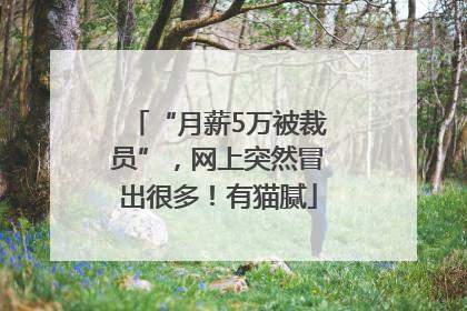 “月薪5万被裁员”，网上突然冒出很多！有猫腻