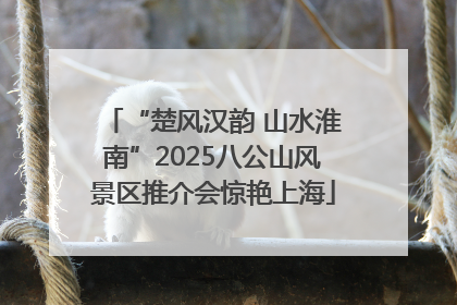 “楚风汉韵 山水淮南”2025八公山风景区推介会惊艳上海
