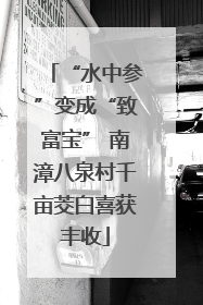 “水中参”变成“致富宝” 南漳八泉村千亩茭白喜获丰收