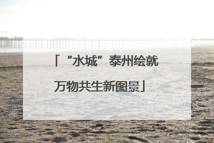 “水城”泰州绘就万物共生新图景