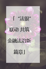 “法银”联动 共筑金融法治新篇章