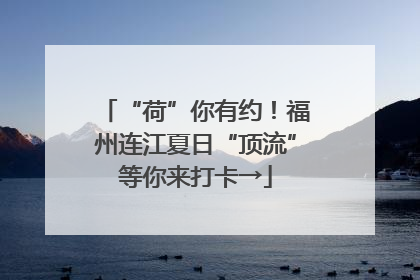 “荷”你有约！福州连江夏日“顶流”等你来打卡→