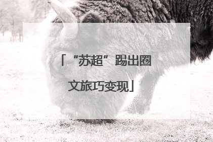 “苏超”踢出圈 文旅巧变现