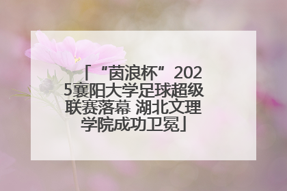 “茵浪杯”2025襄阳大学足球超级联赛落幕 湖北文理学院成功卫冕