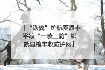 “铁翼”护航麦浪丰 平凉“一喷三防”织就夏粮丰收防护网