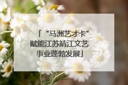 “马洲艺才卡”赋能江苏靖江文艺事业蓬勃发展