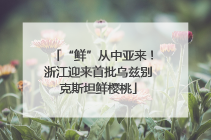 “鲜”从中亚来！浙江迎来首批乌兹别克斯坦鲜樱桃