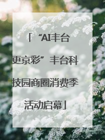 “AI丰台 更京彩”丰台科技园商圈消费季活动启幕