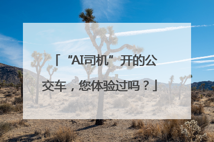 “AI司机”开的公交车，您体验过吗？