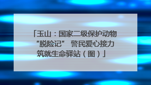 玉山：国家二级保护动物“脱险记” 警民爱心接力筑就生命驿站（图）